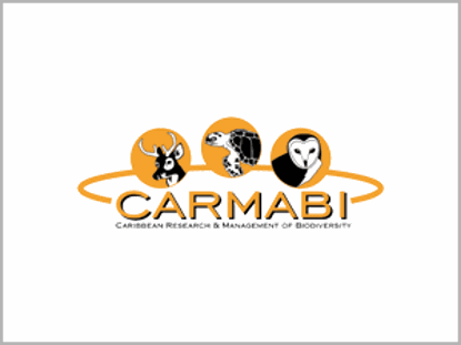 Demo Logo