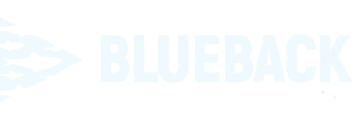 Blueback - Odoo Partner